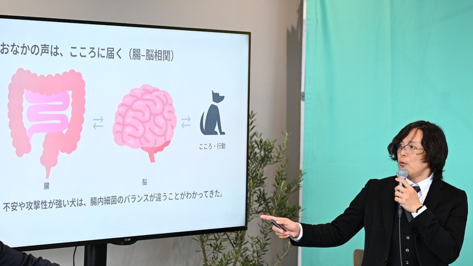 栃尾さんが紹介したのは、腸と脳が互いに影響し合う「腸脳相関」という考え方