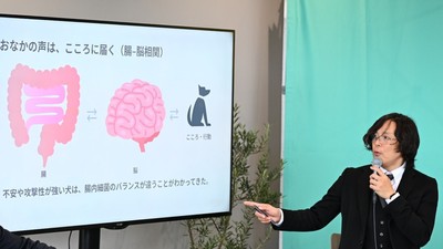栃尾さんが紹介したのは、腸と脳が互いに影響し合う「腸脳相関」という考え方