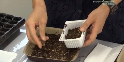種まき準備（土入れ）