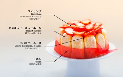 シャルロットの基本的な構図