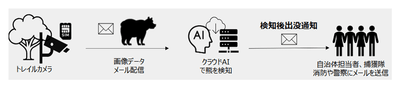 図