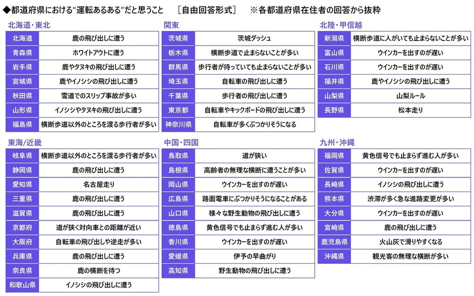 都道府県別カーライフ“あるある”