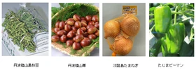 ＪＡ全農×ＪＲ西日本　地域振興プロジェクト　ＪＲ大阪駅に兵庫の旬が集結　「みのりみのるマルシェ　兵庫の実り」開催（10/18）　～兵庫県産の旬の特産品を販売～