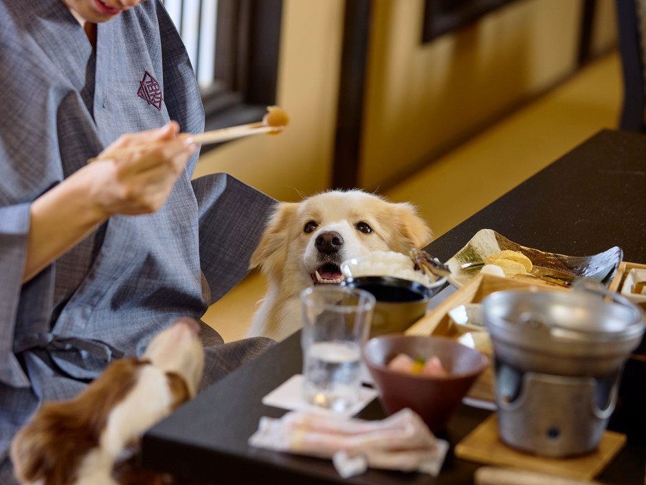 お食事処も愛犬と一緒に