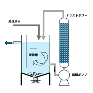 画像(4)処理プロセス