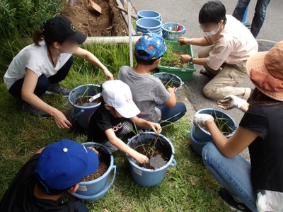 昨年度の田植え体験イベントの様子