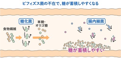 イメージ(5)