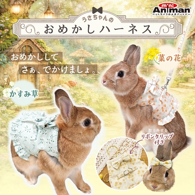 うさちゃんのおめかしハーネスのご紹介