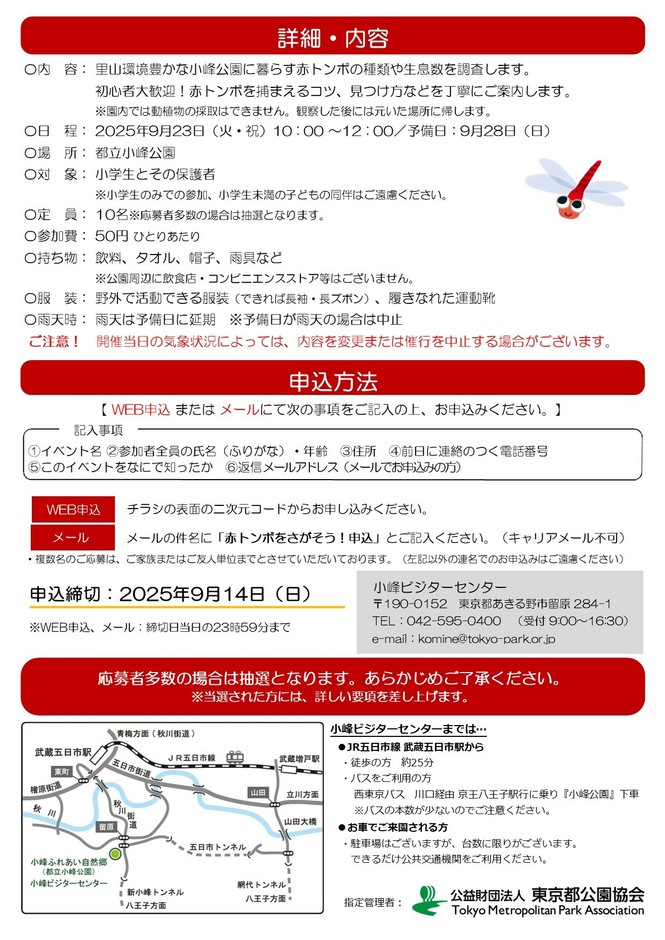 チラシ裏