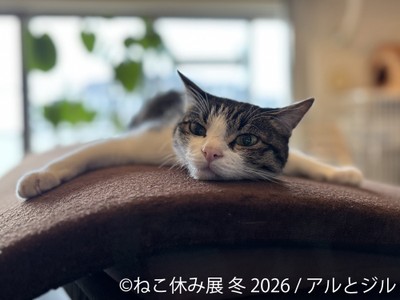 展示作品：アルとジル