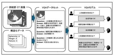 図１　研究の概略図