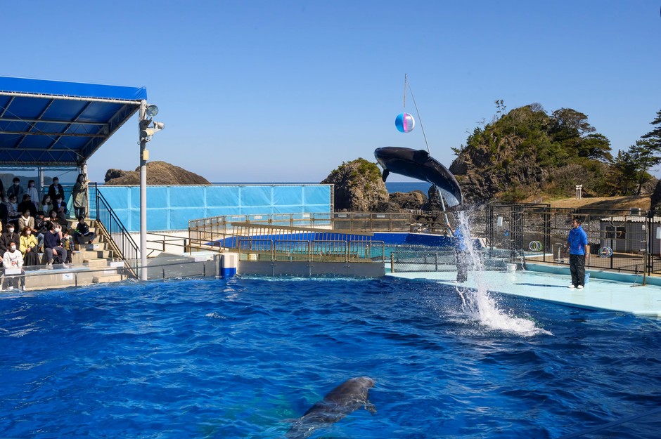 ※越前松島水族館
