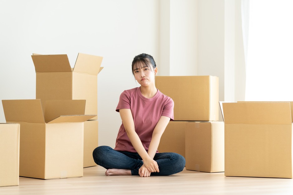 荷物の仕分け、整理整頓、移動、大掃除、引っ越し手伝い、荷造り、荷ほどどき　　「2」