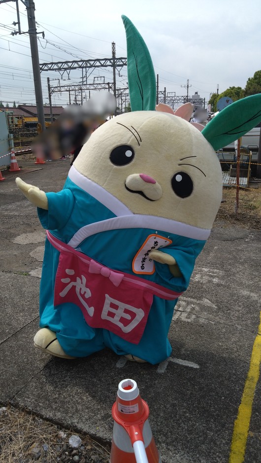 ご当地マスコット