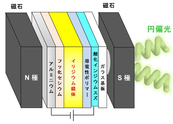 新しい円偏光有機発光ダイオード