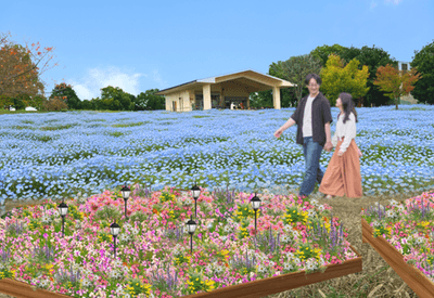 ▲ネモフィラ花壇と芝生広場（イメージ）