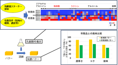図　乳酸菌スターターおよび培養条件の違いが発酵バターの風味特性に及ぼす影響