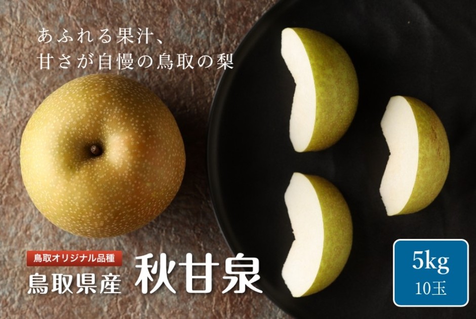 鳥取県産　秋甘泉