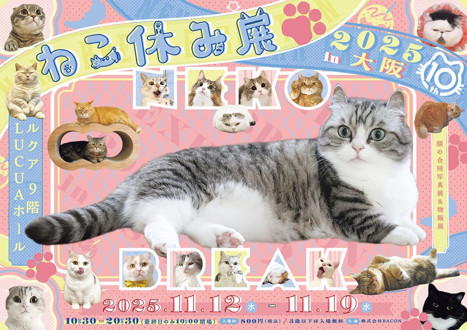 ねこ休み展　キービジュアル(横)