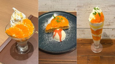 (左から)北原早生みかんのヨーグルトサンデー 650円 (みのる食堂金沢フォーラス店)/北原早生タルト~ミルクアイス添え~ 1,190円・北原早生のミルクアイスパフェ 1,690円