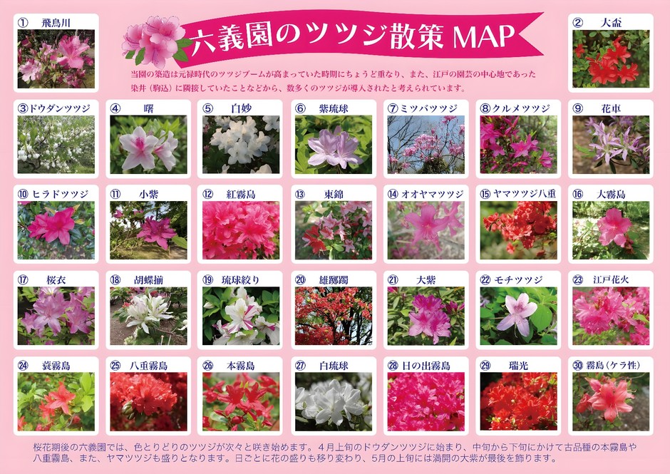 散策MAP