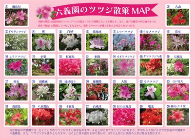 散策MAP