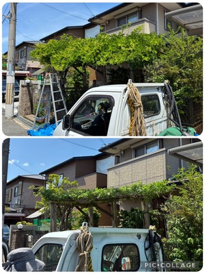庭木の剪定・草刈り