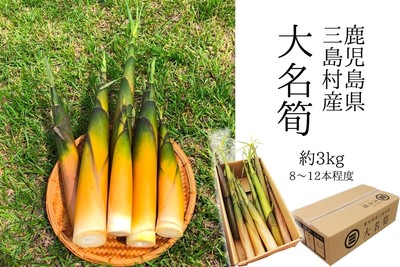 大名筍