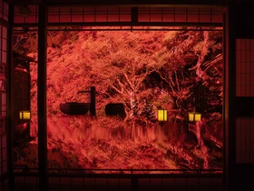 写真好きが選ぶ、全国の紅葉撮影スポット30選2026【東京カメラ部】1位は「河口湖」