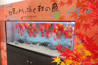 テーマ水槽
