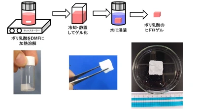 生体親和性の高いポリ乳酸ヒドロゲルを簡便に作製する技術　 JST新技術説明会(7月9日)、大学見本市(8月27日・28日)で公開
