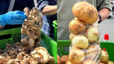 大好評「野菜・果物詰め放題」1