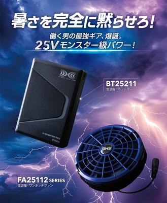 25Vデバイス