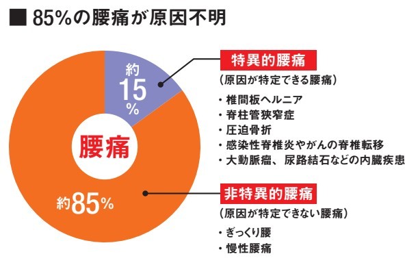 85%の腰痛が原因不明 ※出典:平成 25 年国民生活基礎調査「厚生労働省」より改変