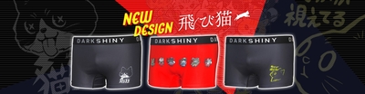 DARK SHINY 新デザイン