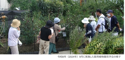 近畿大学薬学部薬用植物園で「朝の植物園散歩　2025」を開催　猛暑を避けた朝の時間帯に、日中では見られない植物を観察