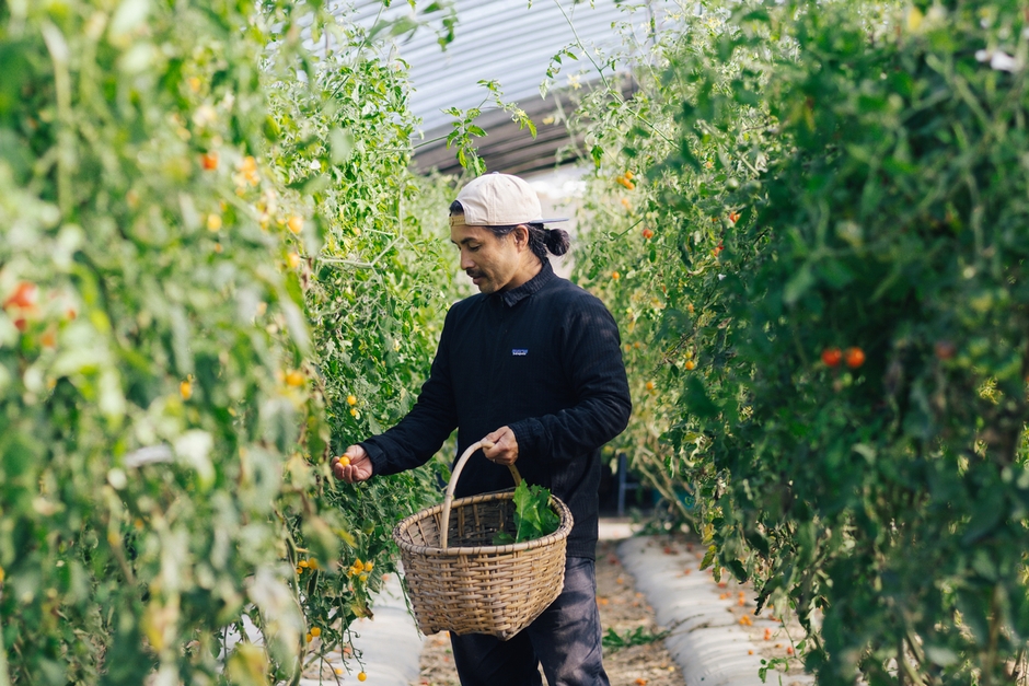 地元農家とつながる、夏野菜の収穫体験