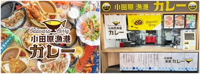 小田原漁港カレーについて