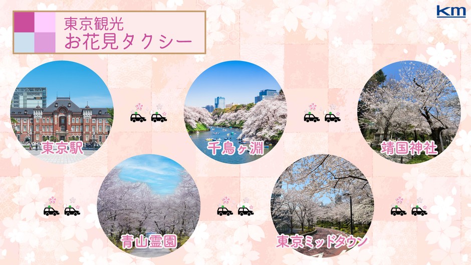 東京観光お花見タクシー　モデルコース