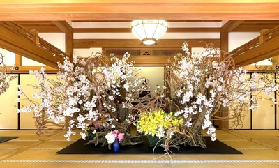 前回個展より