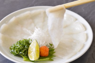 独自の熟成とらふぐを使用した「てっさ(ふぐ刺し)」