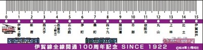 １５ｃｍ定規