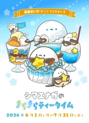 シマエナガイベントや演奏会開催！
ことりすまいる7月イベント情報♪