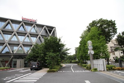 マヨテラス