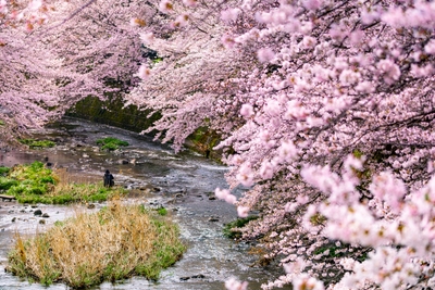 恩田川会場