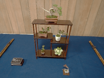小品盆栽展(昨年の様子)