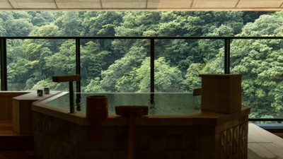 2023年春OPEN 源泉かけ流し温泉付客室
