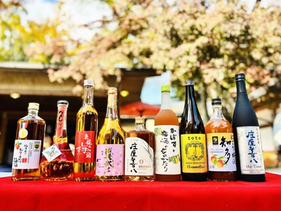 金賞受賞梅酒が水戸で楽しめる — 数量限定「獺祭梅酒」も登場、3月13日（金）開幕『全国梅酒まつりin水戸2026』