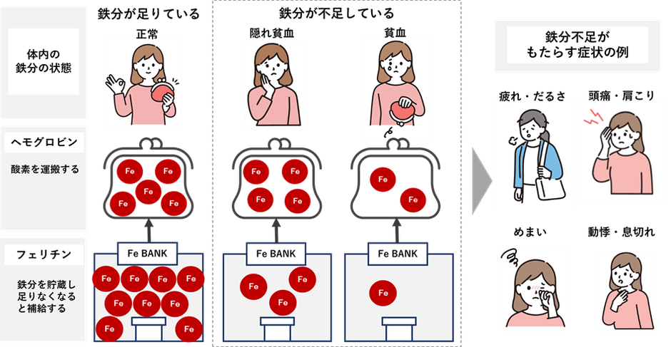 図1 鉄分不足の体内状況と症状
