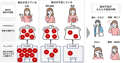 図1 鉄分不足の体内状況と症状